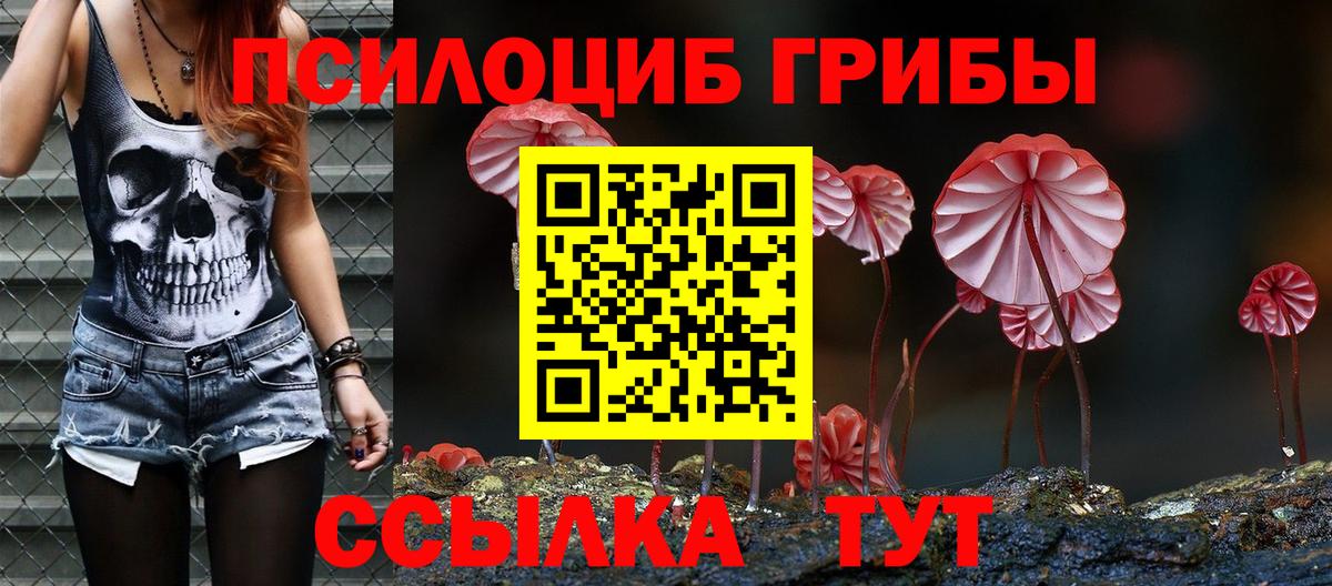 Волгодонск  Галлюциногенные грибы мухоморы  Вход с VPN 