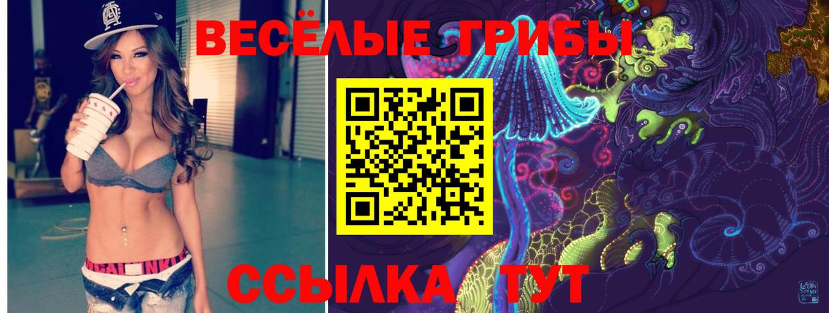 Галлюциногенные грибы Psilocybine cubensis Волгодонск